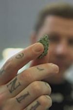 Watch Professor Green: Is It Time to Legalise Weed? Soap2day