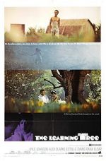 Watch The Learning Tree Soap2day