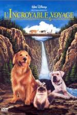 Watch Homeward Bound: The Incredible Journey Soap2day
