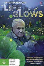 Watch Attenborough\'s Life That Glows Soap2day