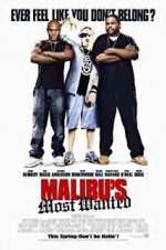 Watch Malibu's Most Wanted Soap2day