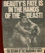 Watch The Return of the Incredible Hulk Soap2day