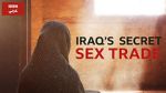 Watch Undercover with the Clerics: Iraq\'s Secret Sex Trade Soap2day