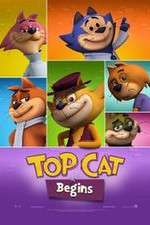 Watch Don Gato: El Inicio de la Pandilla Soap2day