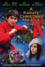 Watch A Karate Christmas Miracle Soap2day