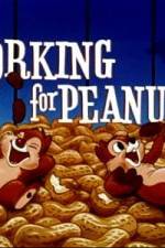 Watch Working For Peanuts Soap2day