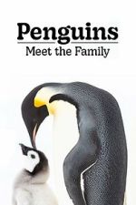 Watch Penguins: Meet the Family Soap2day