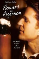 Watch Flowers for Algernon Soap2day