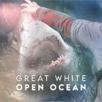 Watch Great White Open Ocean Soap2day