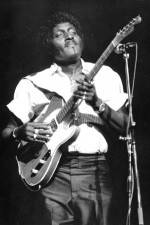 Watch Albert Collins in Concert Soap2day