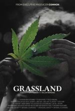 Watch Grassland Soap2day