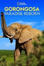 Watch Gorongosa: Paradise Reborn (Short 2022) Soap2day