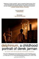 Watch Delphinium: A Childhood Portrait of Derek Jarman Soap2day