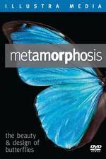 Watch Metamorphosis: The Beauty and Design of Butterflies Soap2day