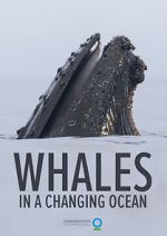 Watch Whales in a Changing Ocean (Short 2021) Soap2day