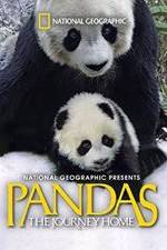 Watch Pandas: The Journey Home Soap2day
