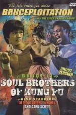Watch Soul Brothers of Kung Fu Soap2day