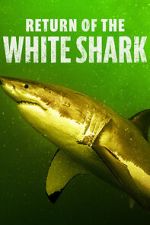 Watch Return of the White Shark Soap2day