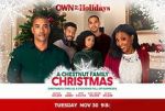 Watch A Chestnut Family Christmas Soap2day
