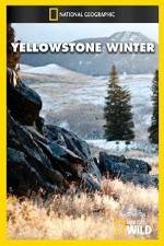 Watch National Geographic Yellowstone Winter Soap2day