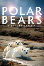 Watch Polar Bears: A Summer Odyssey Soap2day