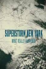 Watch Superstorm New York: What Really Happened Soap2day