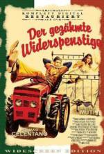 Watch The Taming of the Scoundrel Soap2day