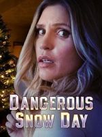 Watch Dangerous Snow Day Soap2day