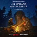 Watch The Elephant Whisperers (Short 2022) Soap2day