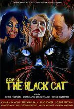 Watch POE 4: The Black Cat Soap2day