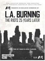 Watch L.A. Burning: The Riots 25 Years Later Soap2day