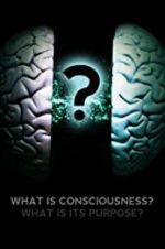 Watch What Is Consciousness? What Is Its Purpose? Soap2day