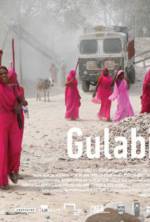 Watch Gulabi Gang Soap2day