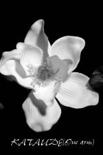 Watch Kataude Soap2day