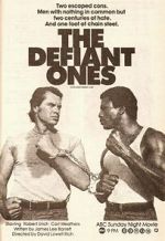 Watch The Defiant Ones Soap2day