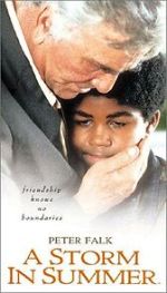 Watch A Storm in Summer Soap2day