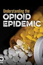 Watch Understanding the Opioid Epidemic Soap2day