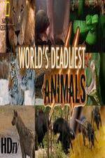 Watch National Geographic - Worlds Deadliest Animal Battles Soap2day