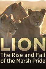 Watch Lion: The Rise and Fall of the Marsh Pride Soap2day