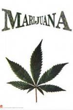 Watch Nederwiet De Moevie Soap2day