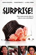 Watch The Surprise! Soap2day