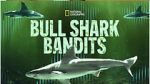 Watch Bull Shark Bandits Soap2day