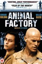 Watch Animal Factory Soap2day