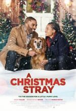 Watch A Christmas Stray Soap2day