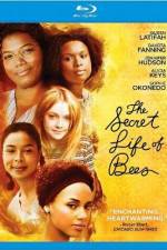 Watch The Secret Life of Bees Soap2day