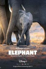 Watch Elephant Soap2day
