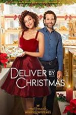 Watch Deliver by Christmas Soap2day