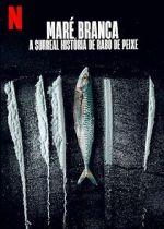 Watch Turn of the Tide: The Surreal Story of Rabo de Peixe Soap2day