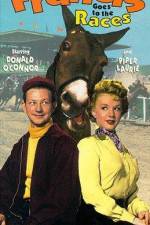 Watch Francis Goes to the Races Soap2day