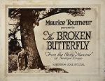 Watch The Broken Butterfly Soap2day